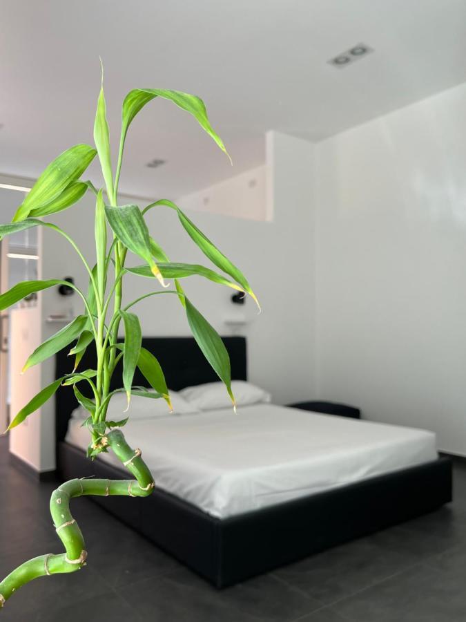 Loft Galla Placidia Rawenna Zewnętrze zdjęcie